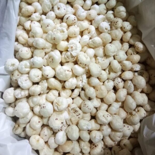Lava fox nuts