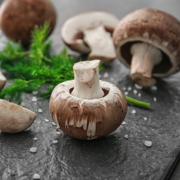 Button Mushroom